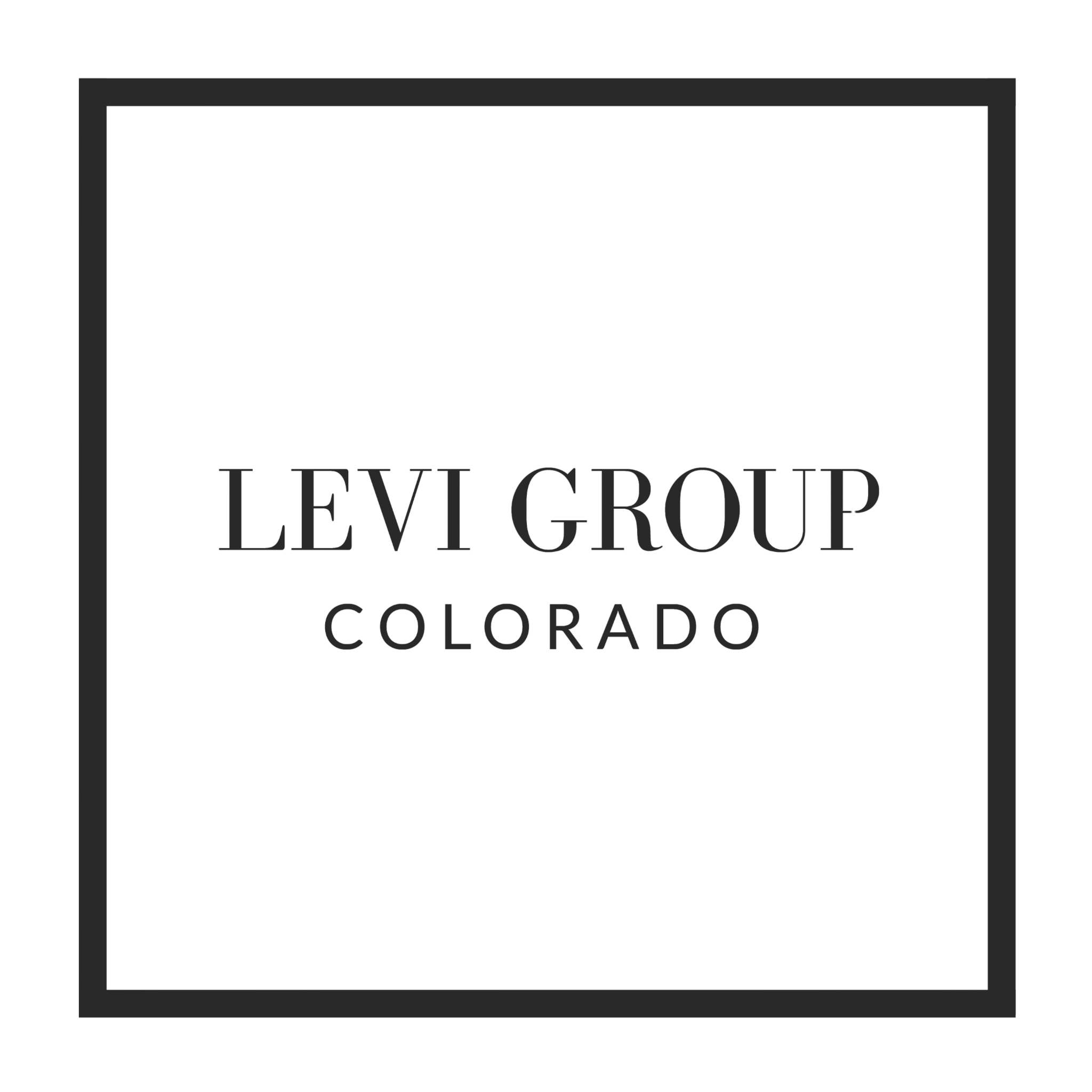 Levi Group Logo